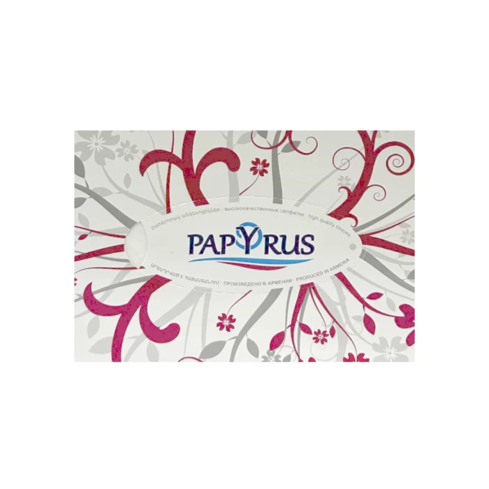 Անձեռոցիկ տուփով Papyrus level 2 շերտ 100 հատ