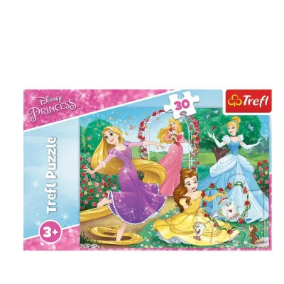 Փազլ Princess 30 կտոր