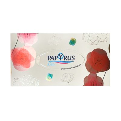 Անձեռոցիկ տուփով Papyrus Deluxe 3 շերտ 100 հատ