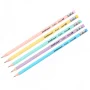 Մատիտ գրաֆիտե ErichKrause Pastel HB