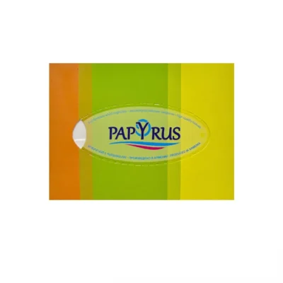 Անձեռոցիկ տուփով Papyrus 3 շերտ 100 հատ