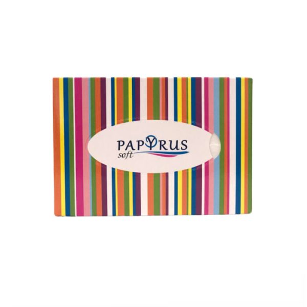 Անձեռոցիկ տուփով Papyrus snowfull 3 շերտ 70 հատ