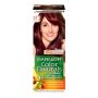 Մազի ներկ Garnier Color Naturals 110 մլ