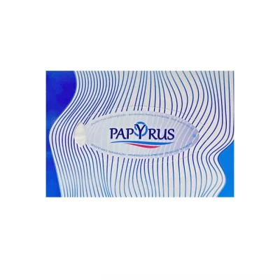 Անձեռոցիկ տուփով Papyrus 2 շերտ 130 հատ