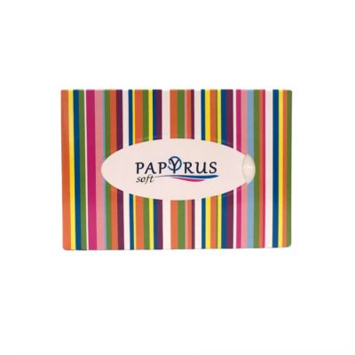Անձեռոցիկ տուփով Papyrus snowfull 3 շերտ 70 հատ
