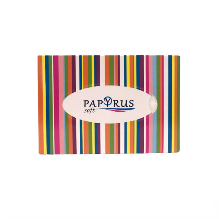 Անձեռոցիկ տուփով Papyrus snowfull 3 շերտ 70 հատ